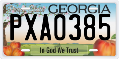 GA license plate PXA0385