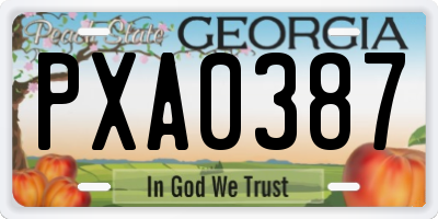 GA license plate PXA0387