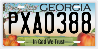 GA license plate PXA0388