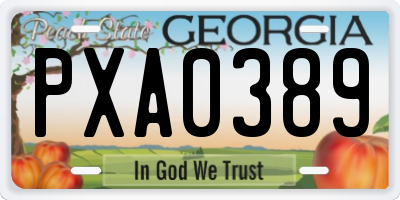 GA license plate PXA0389