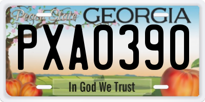 GA license plate PXA0390