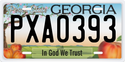 GA license plate PXA0393