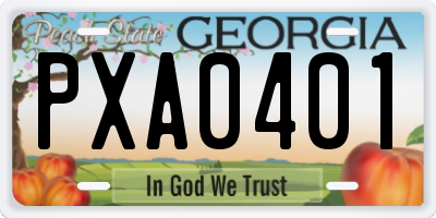 GA license plate PXA0401