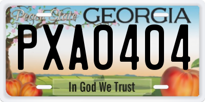 GA license plate PXA0404