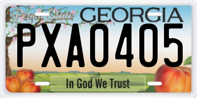 GA license plate PXA0405
