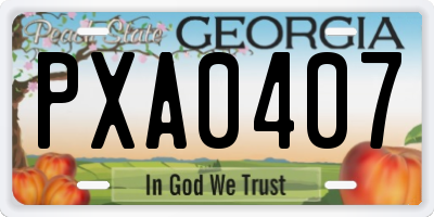 GA license plate PXA0407