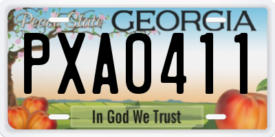 GA license plate PXA0411