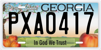 GA license plate PXA0417
