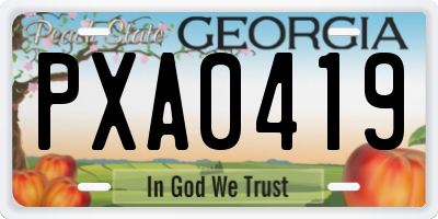 GA license plate PXA0419