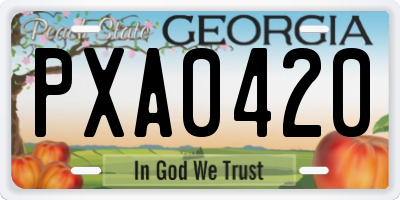 GA license plate PXA0420