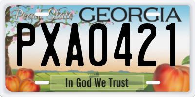 GA license plate PXA0421