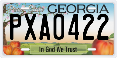 GA license plate PXA0422
