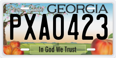 GA license plate PXA0423