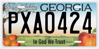 GA license plate PXA0424