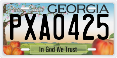 GA license plate PXA0425