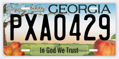 GA license plate PXA0429