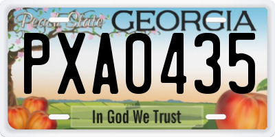 GA license plate PXA0435
