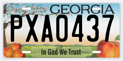 GA license plate PXA0437