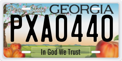 GA license plate PXA0440