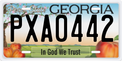 GA license plate PXA0442