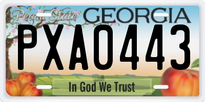GA license plate PXA0443