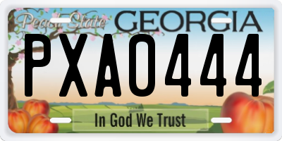 GA license plate PXA0444