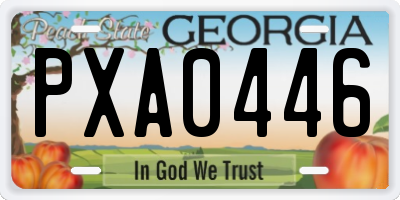 GA license plate PXA0446