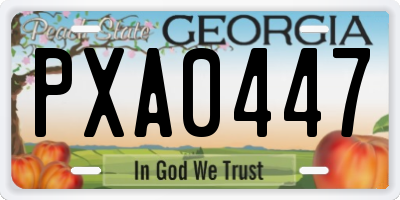 GA license plate PXA0447