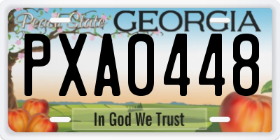 GA license plate PXA0448