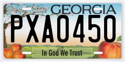 GA license plate PXA0450