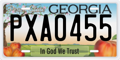 GA license plate PXA0455