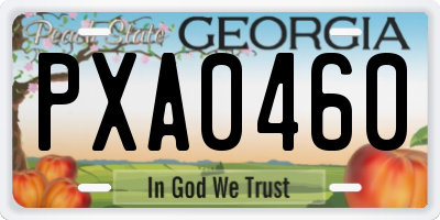 GA license plate PXA0460