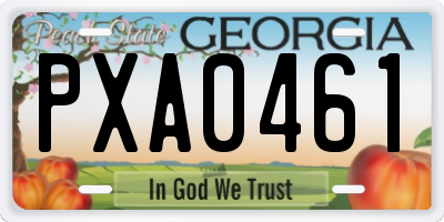 GA license plate PXA0461