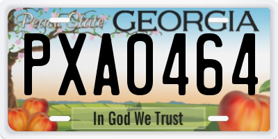 GA license plate PXA0464