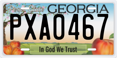 GA license plate PXA0467