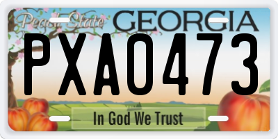 GA license plate PXA0473
