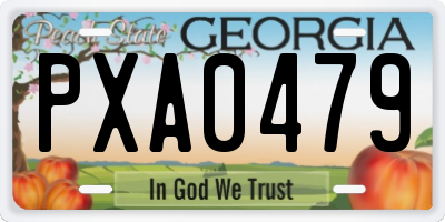 GA license plate PXA0479