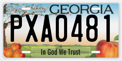 GA license plate PXA0481