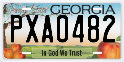 GA license plate PXA0482