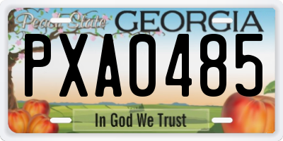 GA license plate PXA0485