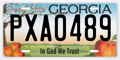 GA license plate PXA0489