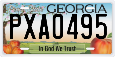GA license plate PXA0495