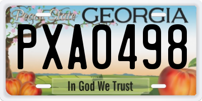 GA license plate PXA0498