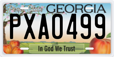 GA license plate PXA0499
