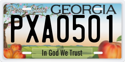 GA license plate PXA0501