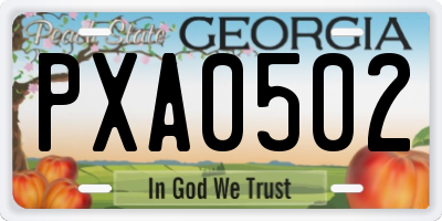 GA license plate PXA0502