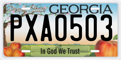 GA license plate PXA0503