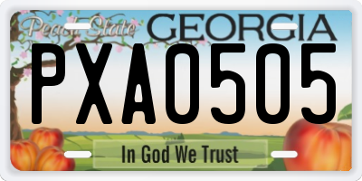 GA license plate PXA0505