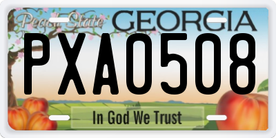 GA license plate PXA0508
