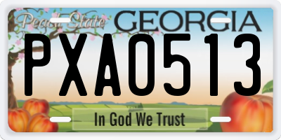 GA license plate PXA0513